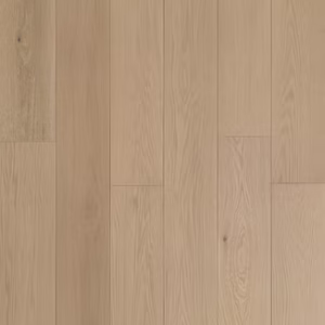 Eclipse - Eterna Collection