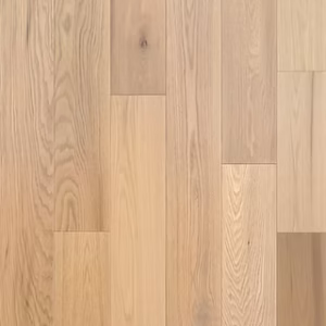 Aura - Eterna Collection