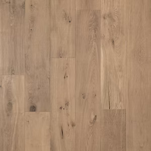 Vesari - Renaissance Collection
